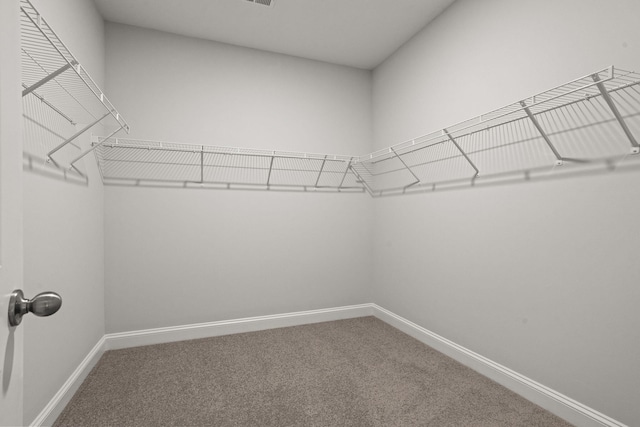 772 Opal Wing St, Moncks Corner, SC 29461 - spacious closet featuring carpet flooring