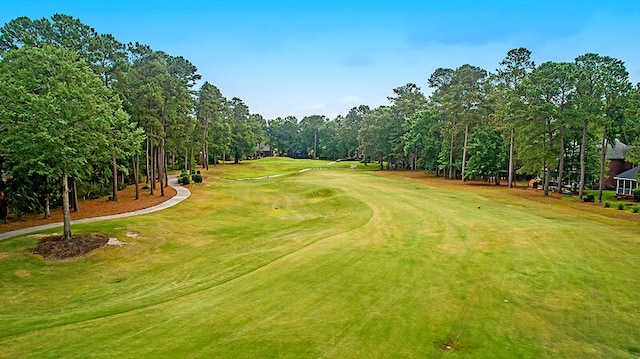 view of property's community featuring a yard