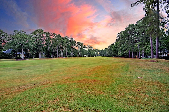 view of home's community with a lawn