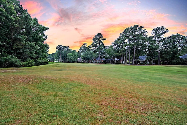 view of yard at dusk