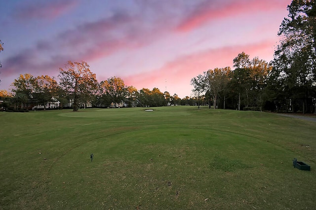 view of home's community with a lawn