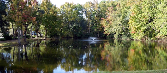 view of water feature with a wooded view