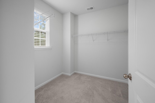 walk in closet with light carpet