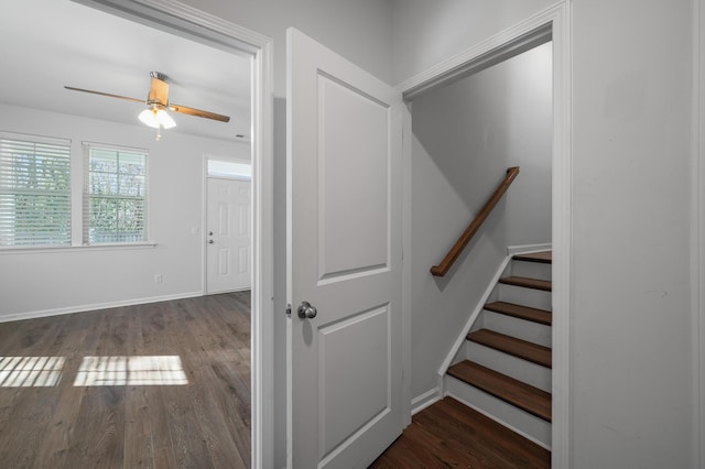 stairs with hardwood / wood-style flooring and ceiling fan