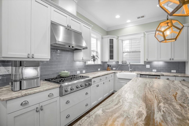 kitchen featuring visible vents, under cabinet range hood, a sink, tasteful backsplash, and appliances with stainless steel finishes