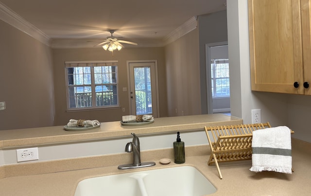 details featuring light brown cabinetry, sink, ornamental molding, and ceiling fan