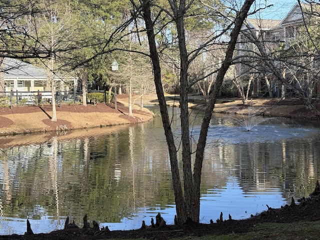 view of water feature