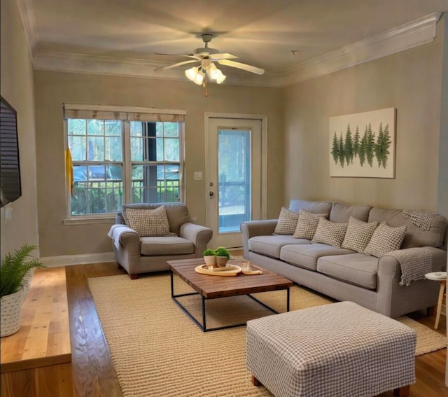 living room with ceiling fan, ornamental molding, and light hardwood / wood-style flooring