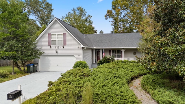 traditional home with driveway and a shingled roof