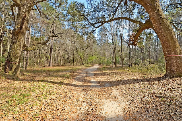 view of road