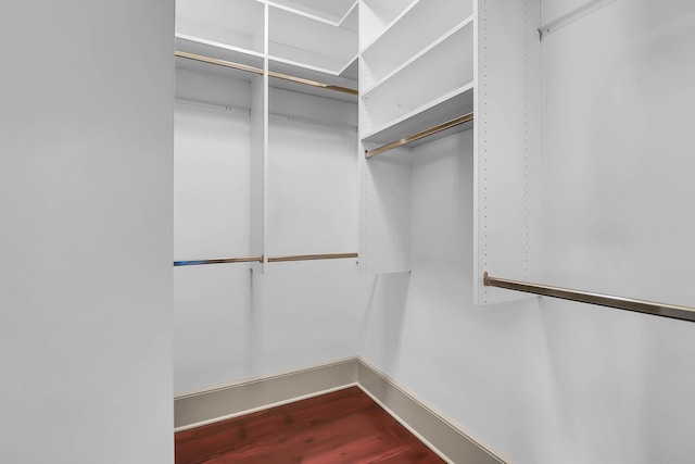 183 Ionsborough St, Mount Pleasant, SC 29464 - view of walk in closet