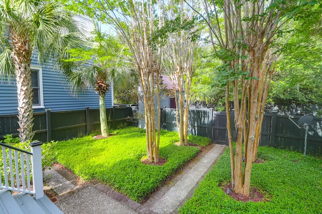 183 Ionsborough St, Mount Pleasant, SC 29464 - view of fenced yard