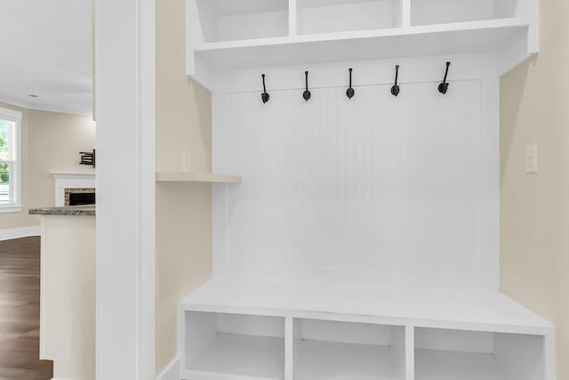 mudroom featuring hardwood / wood-style floors