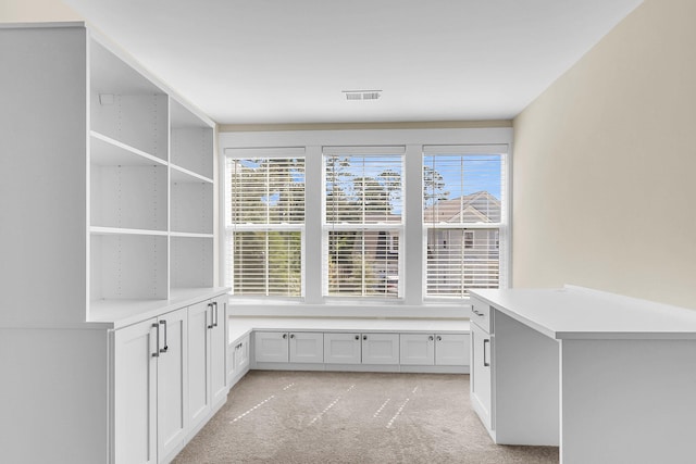 spacious closet with light carpet