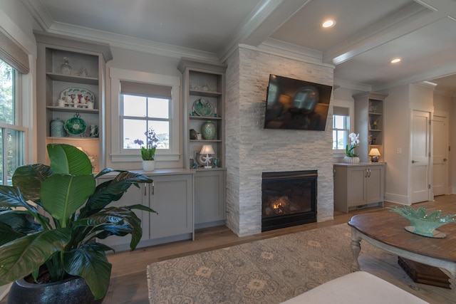 living room with a healthy amount of sunlight, a fireplace, and wood finished floors