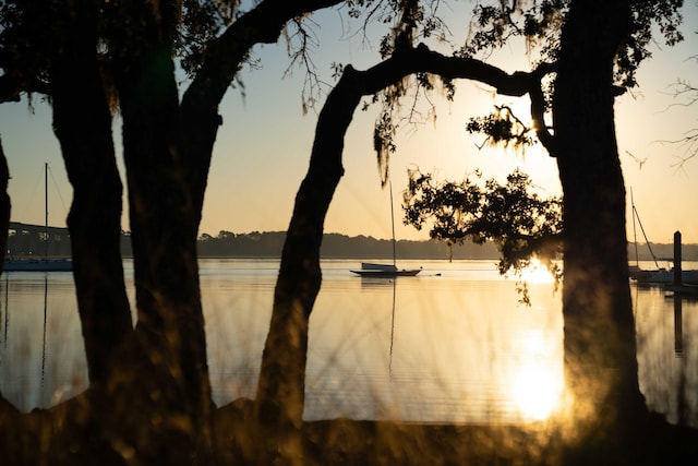 property view of water