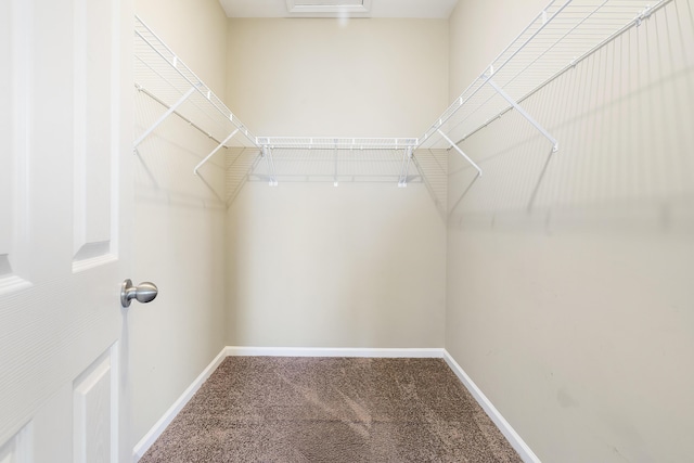 walk in closet with carpet floors