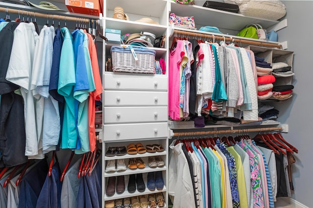 view of spacious closet