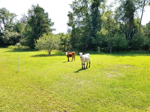 exterior space with a lawn