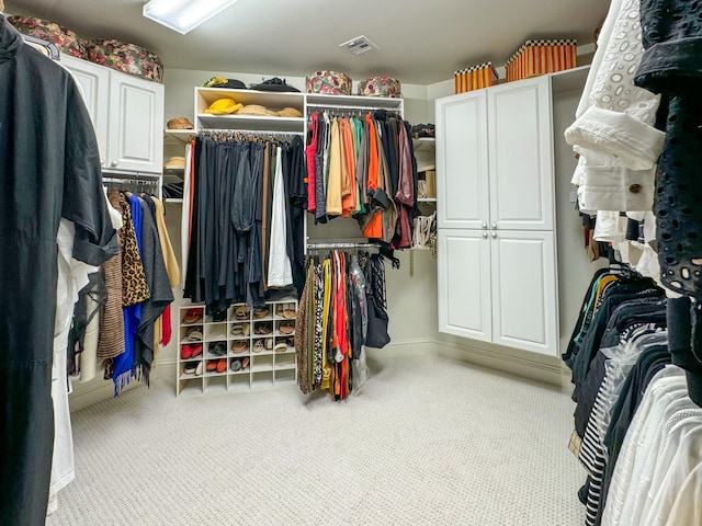 spacious closet with light colored carpet