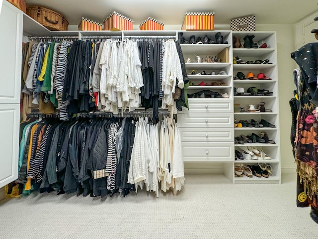 spacious closet featuring carpet flooring