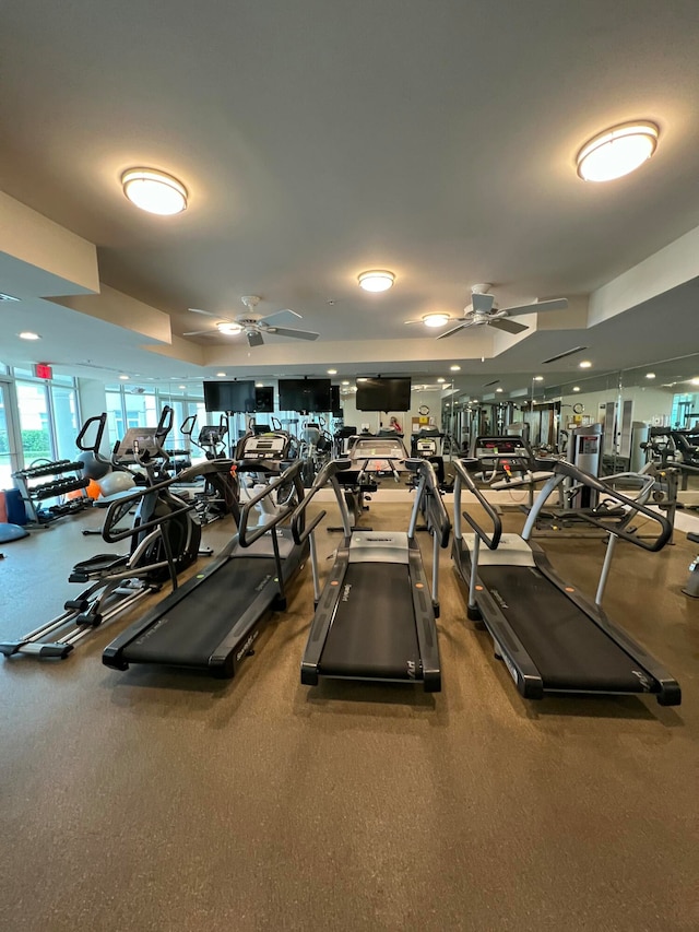 exercise room featuring ceiling fan