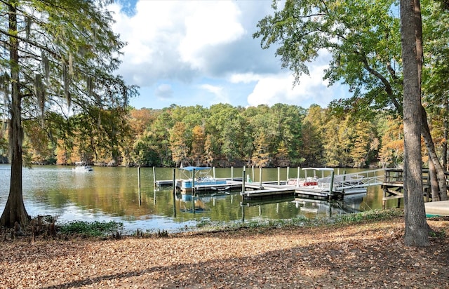 view of dock featuring a water view