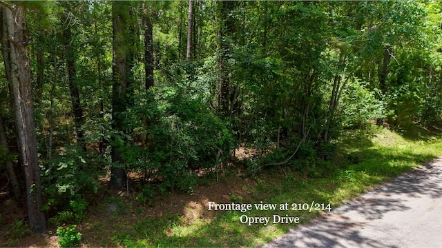210 Osprey Dr, Moncks Corner, SC 29461