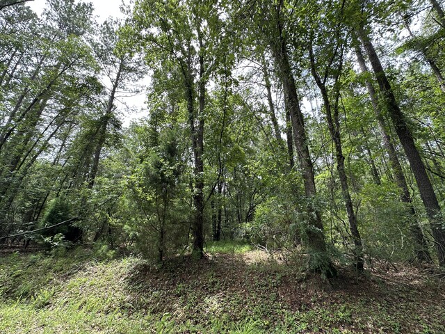210 Osprey Dr, Moncks Corner, SC 29461