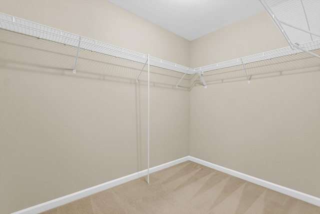 walk in closet featuring carpet