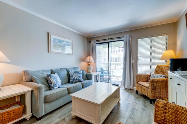 1400 Ocean Blvd Unit 106B, Isle Of Palms, SC 29451 - living room with ornamental molding and light wood finished floors