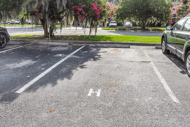 2362 Parsonage Rd Unit 2H, Charleston, SC 29414 - view of uncovered parking lot
