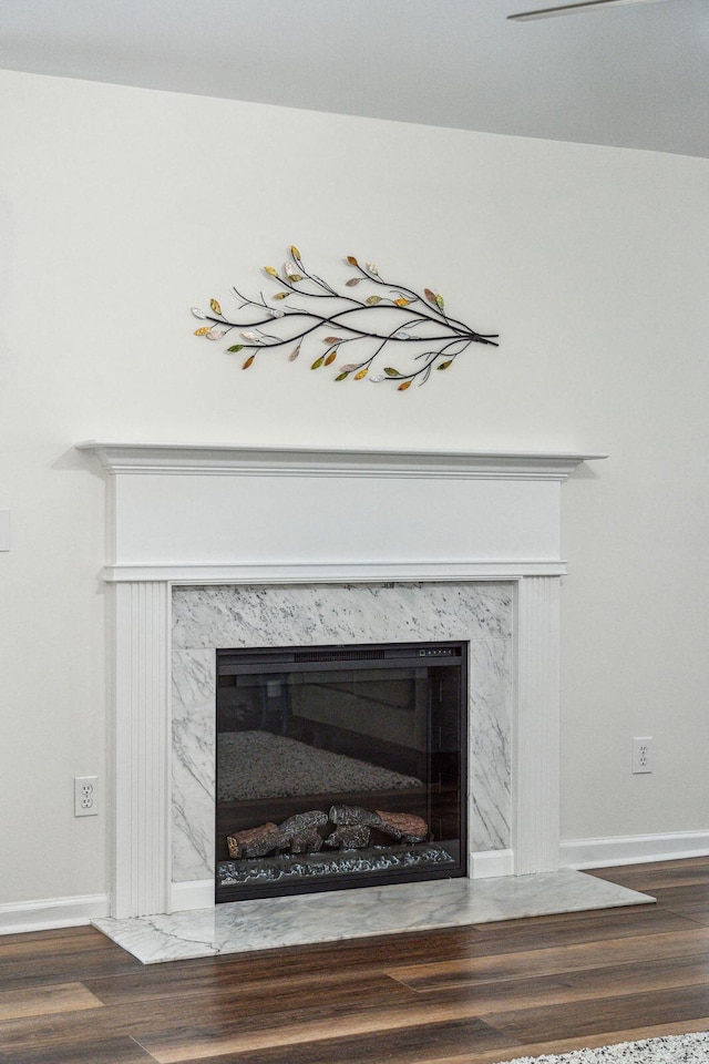 1027 Wayfarer Ln, Charleston, SC 29412 - detailed view of a premium fireplace, wood finished floors, and baseboards