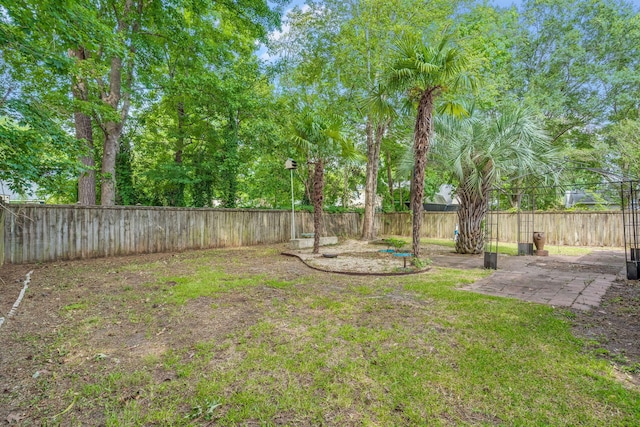 view of yard featuring a patio and a fenced backyard