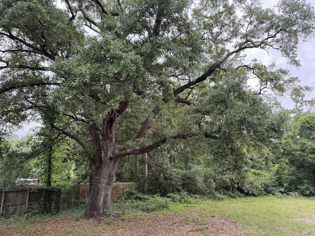 307 Mill St, Walterboro, SC 29488 - view of landscape