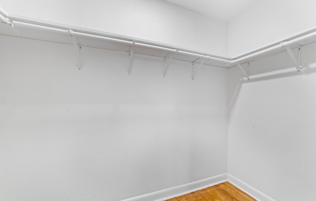 walk in closet featuring hardwood / wood-style floors