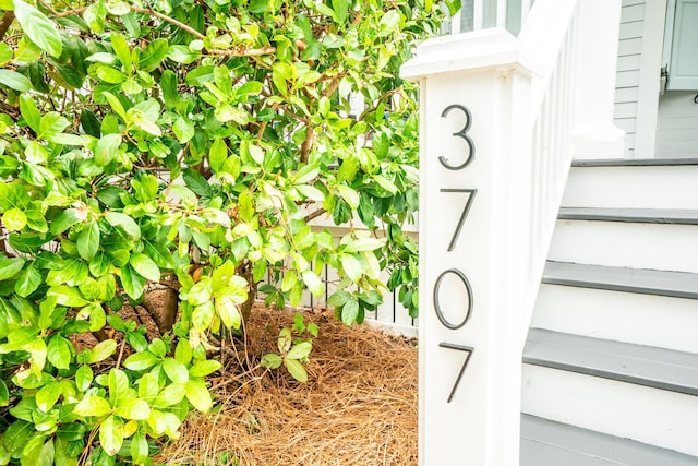 3707 Gambrill Ln, Mount Pleasant, SC 29466 - exterior view
