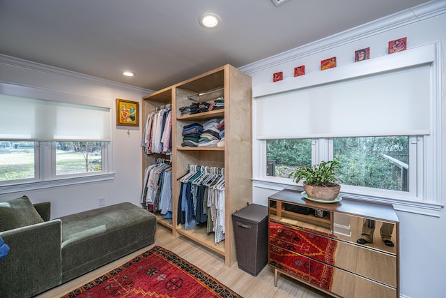 walk in closet featuring wood finished floors