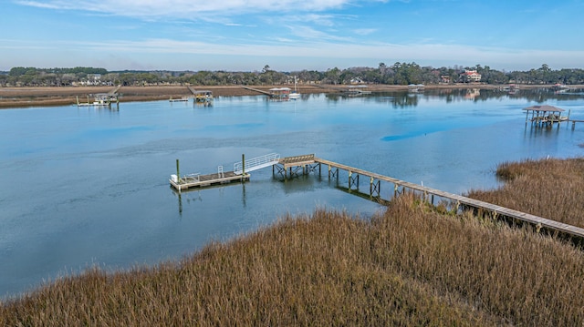 dock area with a water view