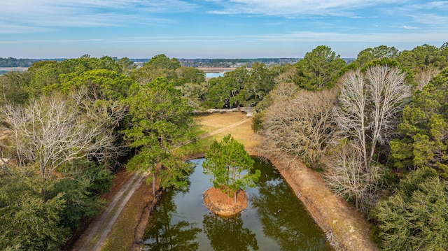 birds eye view of property with a water view and a view of trees