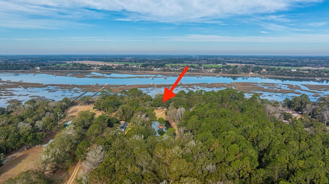 drone / aerial view with a forest view and a water view