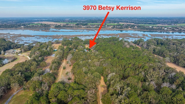 bird's eye view with a water view and a wooded view