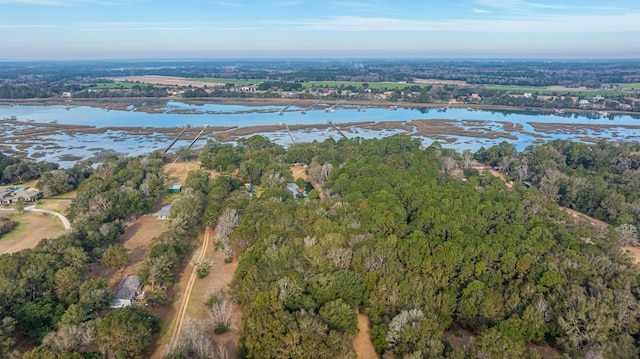 drone / aerial view with a water view and a forest view