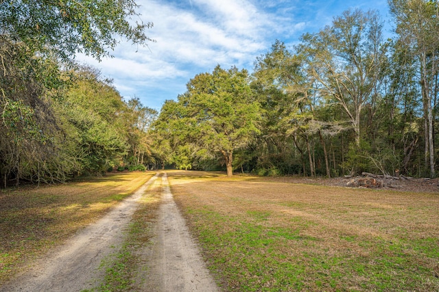 view of street with a forest view