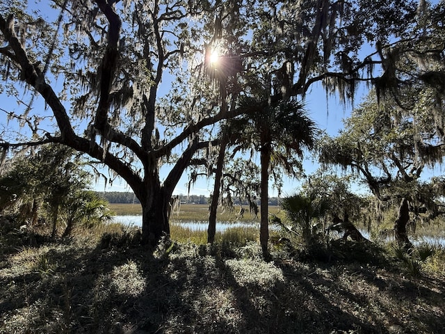 8341 Crooked Creek Ln, Edisto Island SC, 29438 land for sale