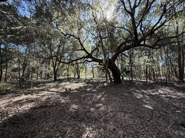 Listing photo 2 for 8341 Crooked Creek Ln, Edisto Island SC 29438