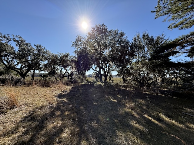 Listing photo 3 for 8341 Crooked Creek Ln, Edisto Island SC 29438