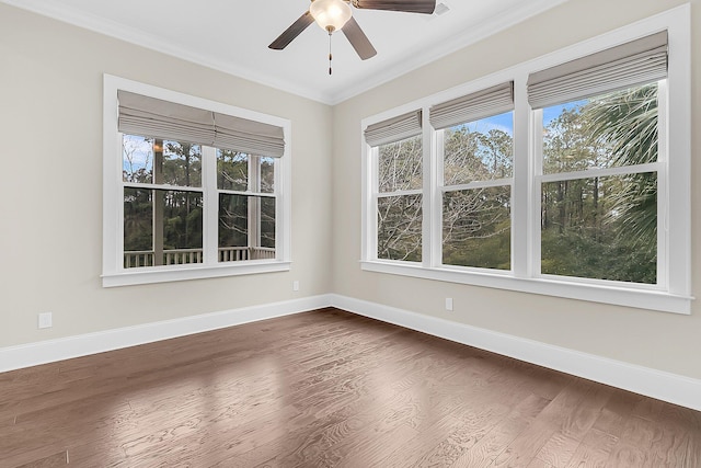 empty room featuring dark wood finished floors, plenty of natural light, and baseboards