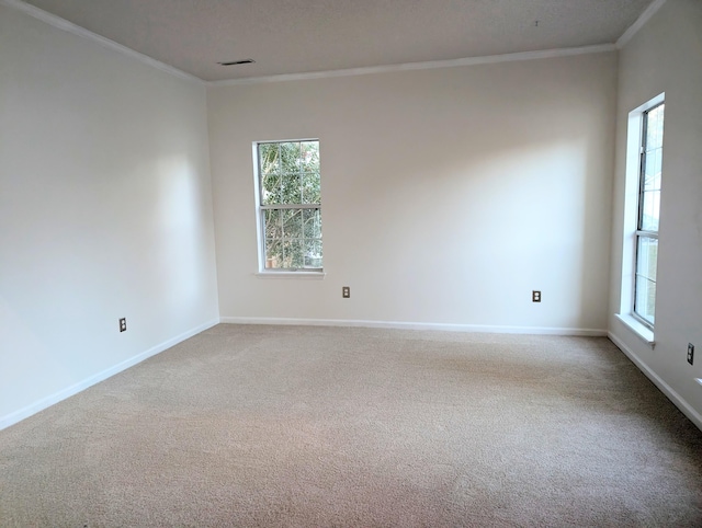 carpeted spare room featuring ornamental molding and a wealth of natural light