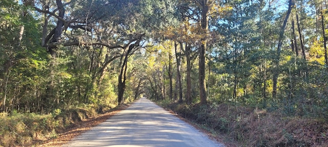 Listing photo 2 for 1068 Sarah Battle Ln, Edisto Island SC 29438